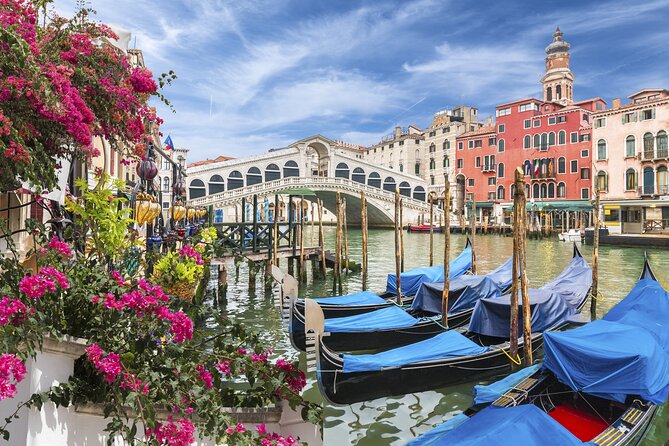 Private Art and Culture Tour in Dorsoduro and Academia Venice - Booking and Cancellation Policies