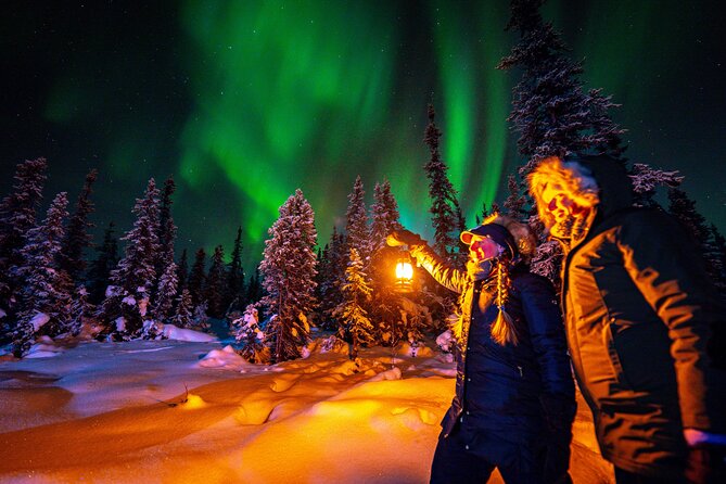 Private Aurora Viewing Experience in Fairbanks - Aurora Photography Services