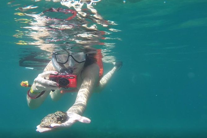 Private Bahia De Banderas South Beaches Adventure - Preparing for Your Adventure