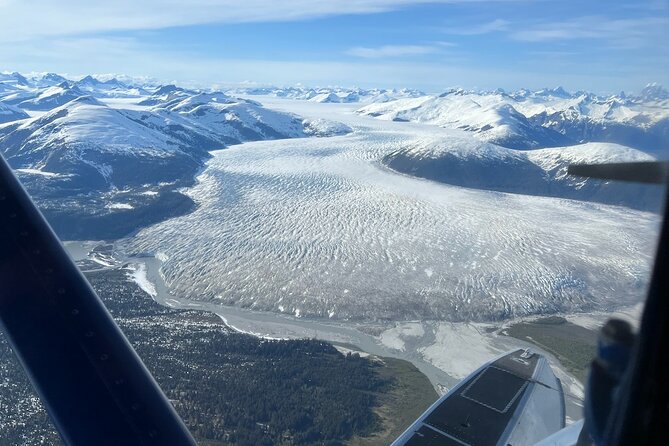 Private Bear Viewing By Seaplane - Highlights of the Bear Viewing Experience