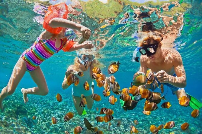 Private Boat Snorkeling and Swim With Shark and Stingray - Participant Guidelines