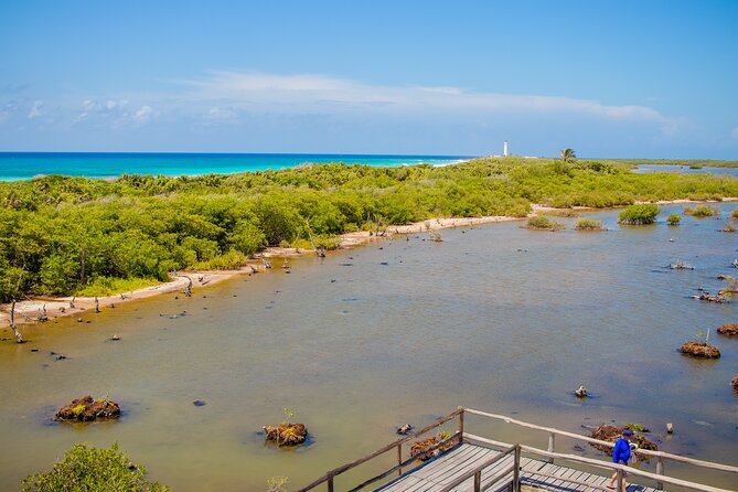 Private Buggy Tour and Punta Sur Park: All-Inclusive - Customer Reviews and Ratings
