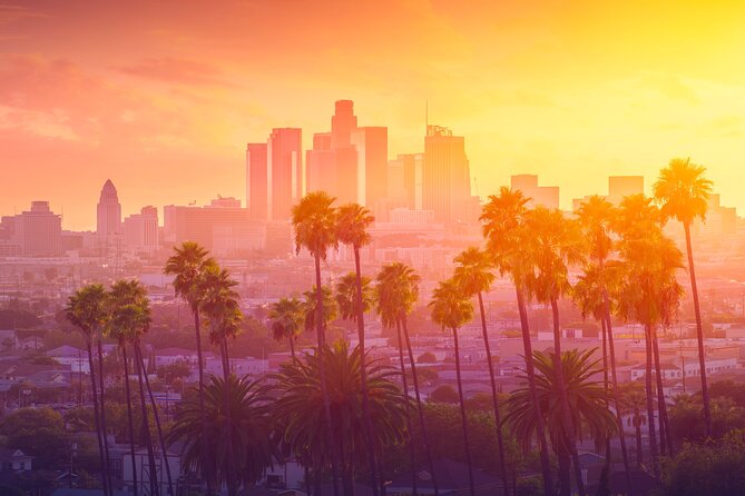 Private Car Tour LA Hollywood Beverly Hills Venice Santa Monica - Cancellation and Reviews