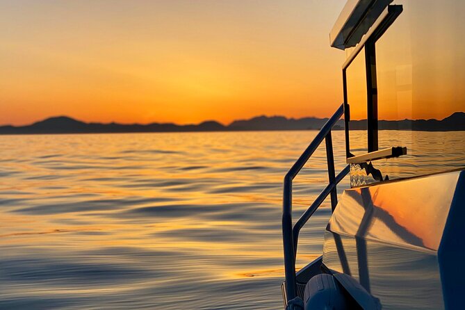 Private Charter Scenic Sea Bird Excursion Review - Health and Safety Considerations