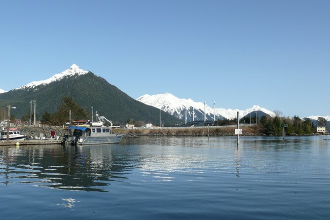 Private Charter Scenic Wildlife Excursion for Cruise Passengers - Customer Feedback and Ratings