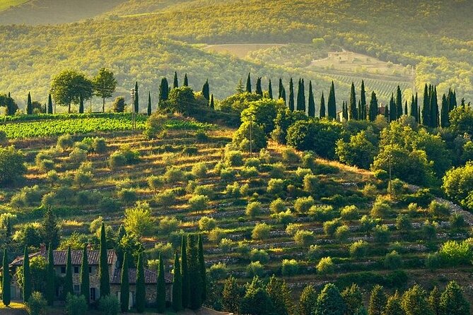 Private Chianti Winery Tour From Livorno With Pick up and Drop off - Customer Reviews