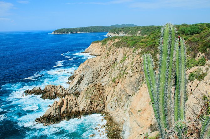 Private City Sightseeing & Shopping Tour With Mezcal Tasting - Customer Experiences
