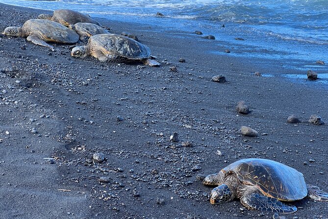 Private Customized Big Island Adventure Tour Review - Customer Reviews and Ratings