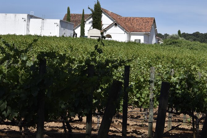 Private, Customized Napa Valley Wine Tasting Tour 10 Passenger - Health and Safety Measures