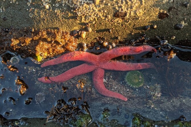 Private Day Hike - Rialto Beach Review - Supporting Outdoor Youth Scholarships