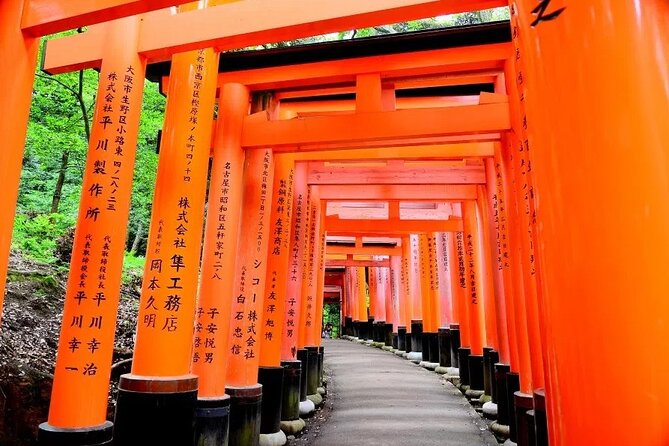 Private Day Tour in Osaka and Kyoto With Charter Car - Customer Reviews