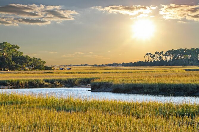 Private Dolphin and Nature Tour of Hilton Head - Accessibility Features