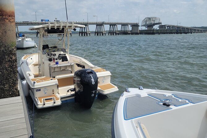 Private Dolphin Boat Tour in Hilton Head Island - Booking Details and Pricing