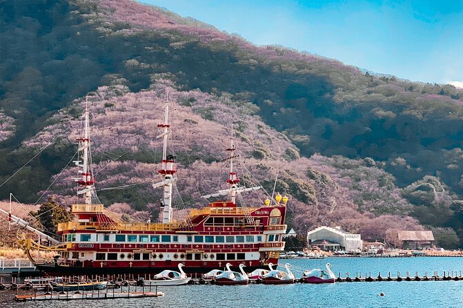 Private Fuji Hakone Tour Charter With English Speaking Driver - Itinerary Options