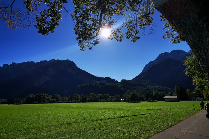 Private Full Day Neuschweinstein Castle Tour From Munich - Tour Participation and Accessibility