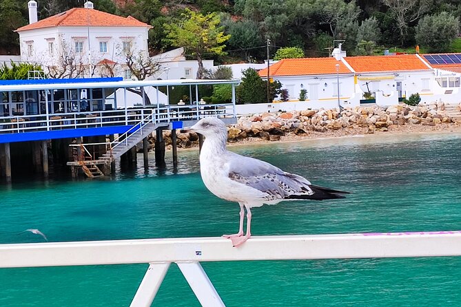 Private Full Day Tour Setubal - Scenic Highlights
