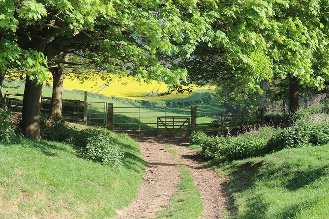 Private Full Day Tour to Cotswolds From London - Personalized Itinerary and Flexibility