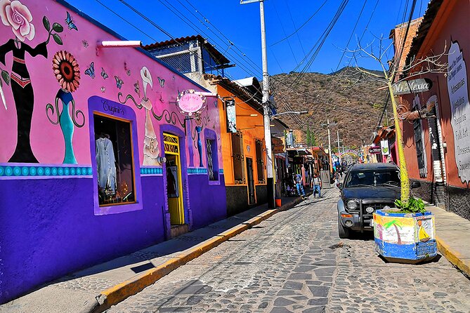 Private Full-Day Trip to Chapala and Ajijic From Guadalajara - Accessibility Information