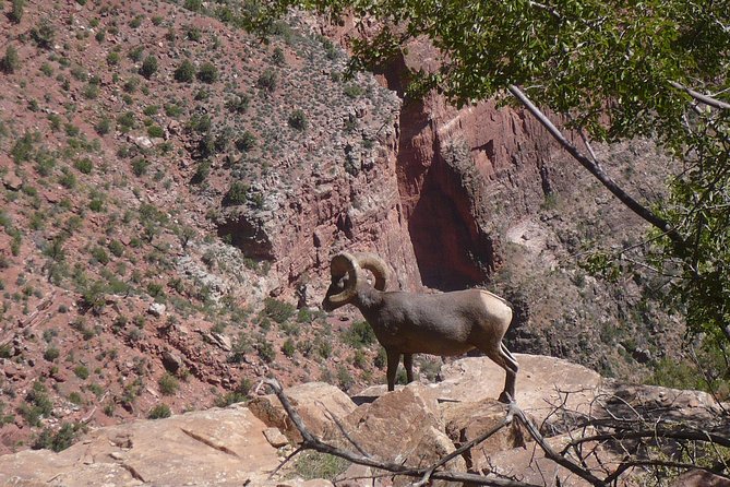 Private Grand Canyon Day Tour From Phoenix & Scottsdale - Exploring Route 66