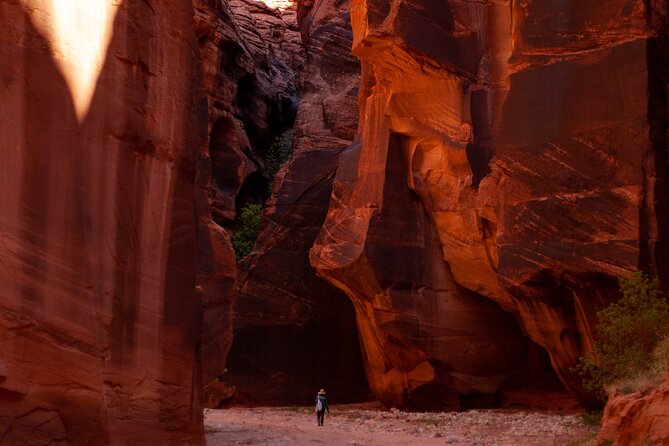 Private Guided Buckskin Gulch Tour Via Wire Pass - Cancellation and Booking Information