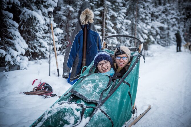 Private Guided Dog Sledding on the Historic Yukon Quest Trail - Customer Reviews and Feedback