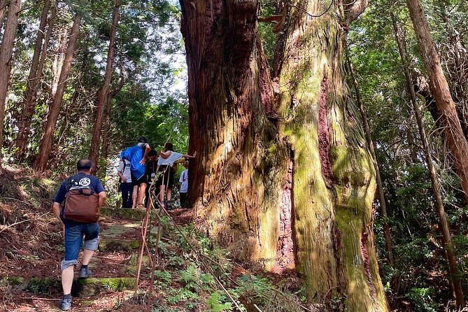 Private Guided Rural E Bike Mini Tour in Aso Minamioguni - Booking Information