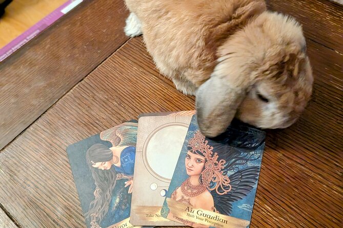 Private Guided Tarot Tour Review - Final Thoughts