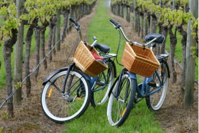 Private Guided Wine Country Bike Tour For Two (Mattituck) - Guided Experience