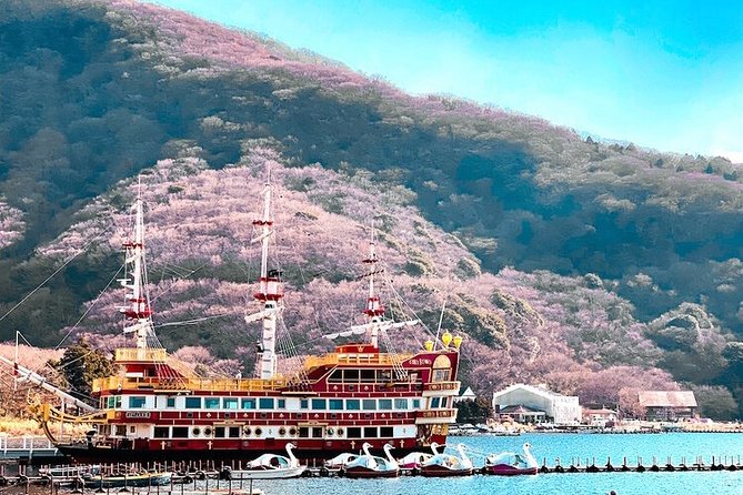 Private Hakone Tour - View of Mt. Fuji, Nature and Culture - Scenic Destinations