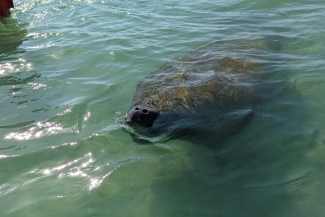 Private Half Day Boat Tour Review - Highlights and Activities