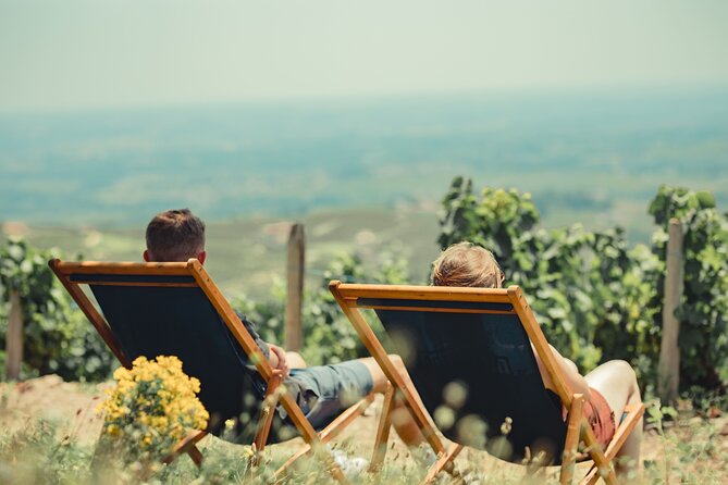 Private Half Day Burgundy Wine and Food Tour by Vintage Defender - Accessibility Features