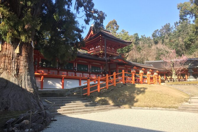 Private Half-Day City of Nara Guided Tour - Booking and Cancellation Policy