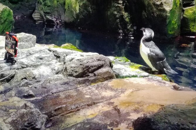 Private Half Day in Lisbon With Boat Trip & Oceanarium - Boat Trip