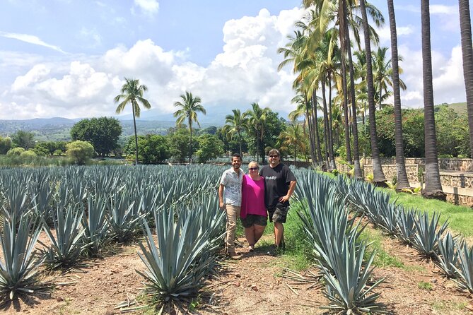 Private Half-Day Tequila Tour - Inclusions and Exclusions