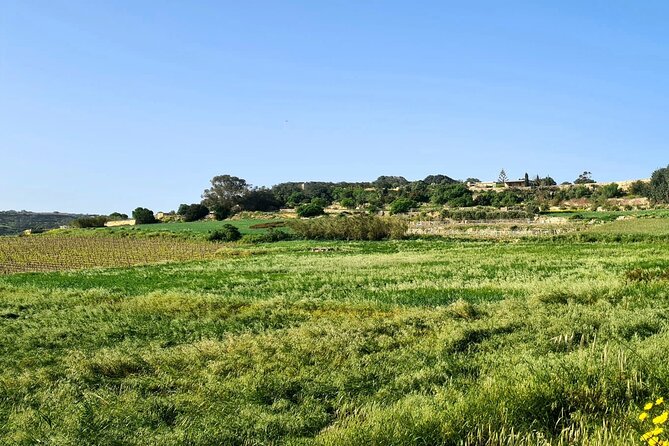 Private Half Day Tour at Marsaxlokk Island of Malta - Accessibility Considerations