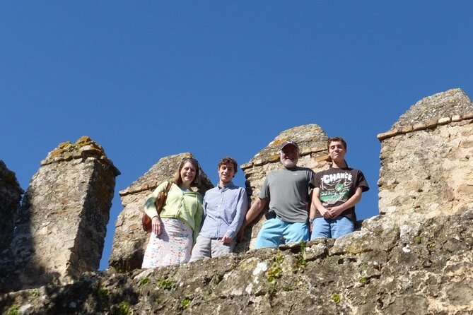 Private Half Day Tour With Stop in Setenil From Seville to Ronda - Accessibility and Participation