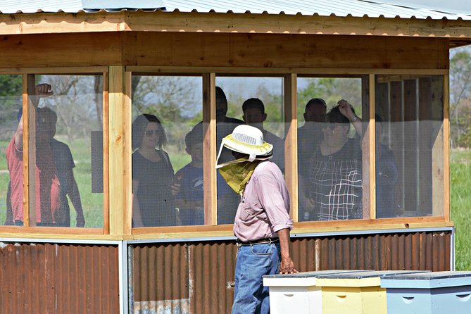 Private Hive Tour Review: A Sweet Experience - A Glimpse Into Sustainable Beekeeping