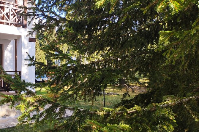 Private Horseback Riding Adventure to Red Rock in Smolyan - Safety Considerations for the Tour