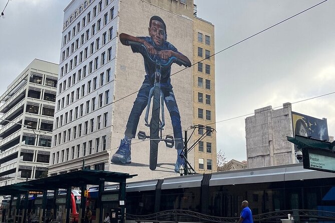 Private Houston Sightseeing Tour With Murals 3-Hr - Customer Feedback and Experiences