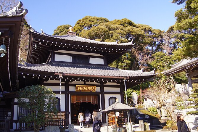 Private Kamakura and Enoshima Day Tour From Tokyo - Highlights of the Kamakura and Enoshima Tour