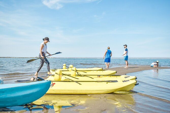 Private Kayaking Adventure Around the Mangroves and La Paz Bay - Wildlife and Scenic Highlights