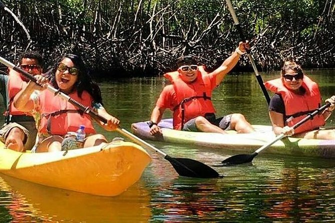 Private Kayaking Los Haitises National Park From Sabana De La Mar - Health and Safety Considerations