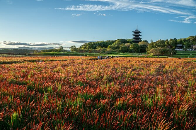 Private KIBI Cycling + Local Ramen Tour With a Licensed Guide - A Guided Journey Through Okayama