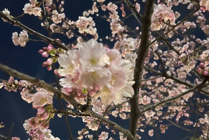 Private Kimono Cultural and Historical Walk in Kabukicho - Unique Experiences and Memories