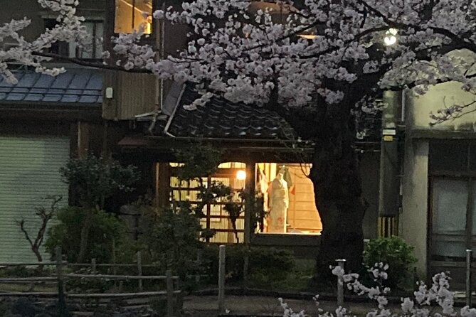 Private Kimono Stroll in Toyama City Possibly With a Shiba Inu - Schedule and Availability