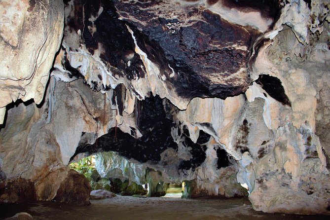 Private Los Haitises National Park Private Kayaking 2 Hours - Accessibility Information