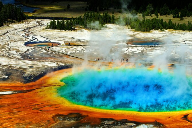 Private Lower Loop Tour of Yellowstone Review - Booking and Availability