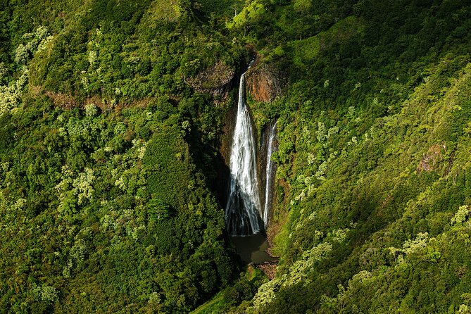 Private Luxury Air Tour Over Kauai - Customer Reviews and Feedback