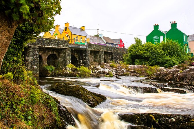 Private Luxury MPV Ring of Kerry and Skellig Ring Tour - Accessibility Information