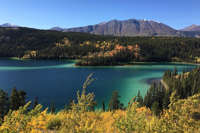 Private Luxury Shore Excursion Skagway, AK to Emerald Lake, Yukon. - Pricing and Booking